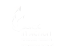 Back In Action Logo